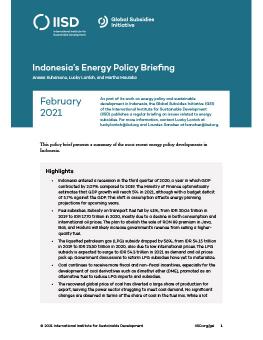 Indonesia's Energy Policy Briefing cover