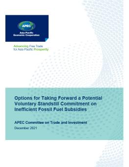  Options for Taking Forward a Potential Voluntary Standstill Commitment on Inefficient Fossil Fuel Subsidies cover