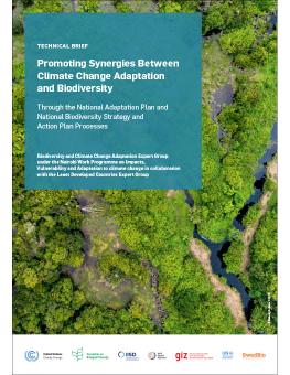 Promoting Synergies Between Climate Change Adaptation and Biodiversity Through the National Adaptation Plan and National Biodiversity Strategy and Action Plan Processes cover showing aerial of forest