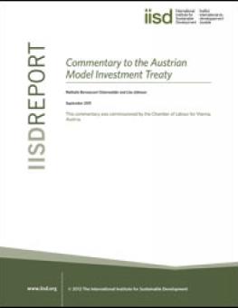 austrian_model_treaty.jpg