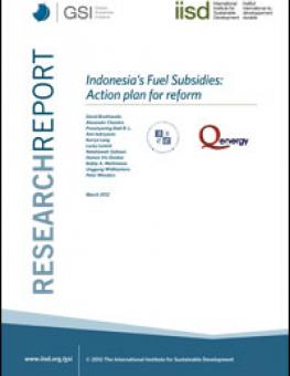 ffs_actionplan_indonesia.jpg