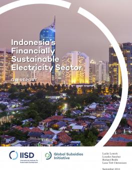indonesia-financially-sustainable-electricity-sector(6)-1.jpg