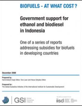 indonesia_biofuels.jpg