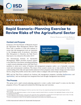 rapid-scenario-planning-exercise-review-risks-agriculture-sector-cover-3.png