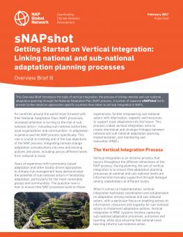 snapshot-vertical-integration-of-naps-1.jpg