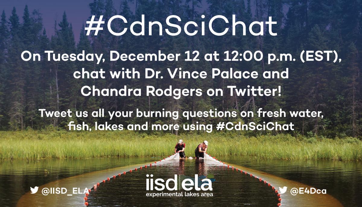 IISD-ELA Twitter chat with Dr Vince Palace and Chandra Rodgers